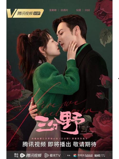 国产剧爱情友情在线观看,在线观看，情感共鸣无限