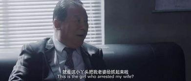 国产杀手回忆在线观看视频,暗影重生的复仇传奇