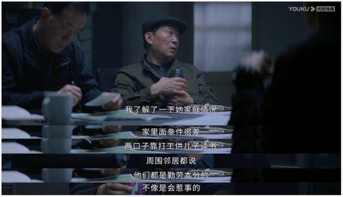 顶级破案国产剧在线观看,顶级破案国产剧在线观看之旅