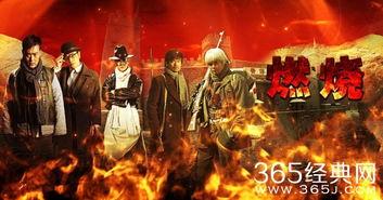 国产燃烧电视剧 在线播放,国产电视剧在线播放的激情之旅