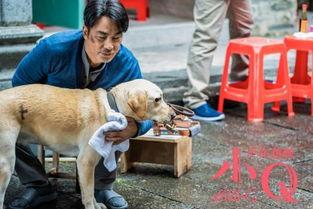 国产小q蛙在线播放,欢乐童趣，陪伴成长